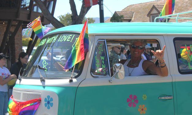 Inclusivity, diversity celebrated at SYV Pride Parade & Festival