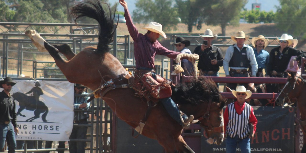 Rodeo action adds to Old Santa Ynez Days enjoyment
