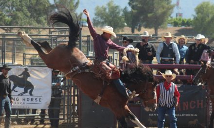 Rodeo action adds to Old Santa Ynez Days enjoyment