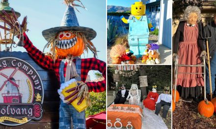 Spooks and scares coming to SYV — if they haven’t already