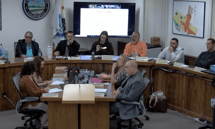 City Council, Planning Commission hold joint meeting on General Plan