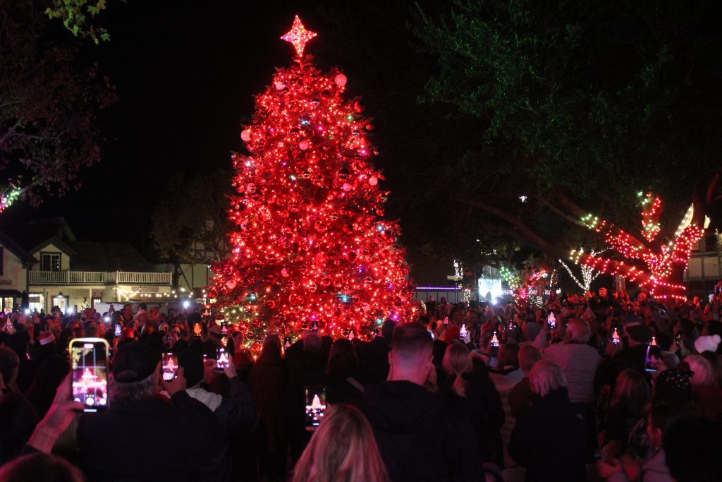 Trees light up all over SY Valley to start holiday season 