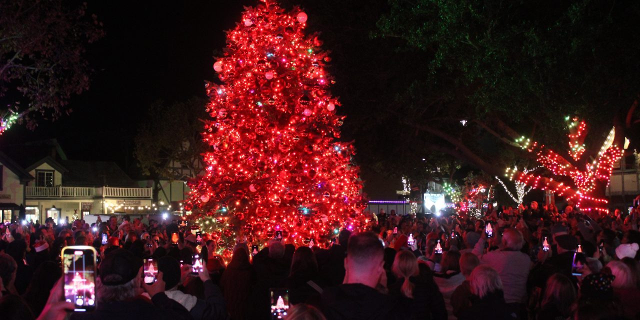 Trees light up all over SY Valley to start holiday season 