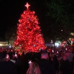 Trees light up all over SY Valley to start holiday season 