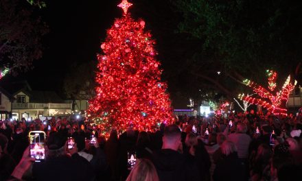 Trees light up all over SY Valley to start holiday season 