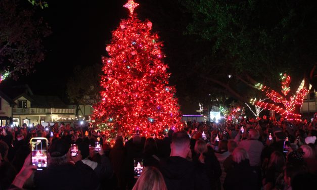 Trees light up all over SY Valley to start holiday season 