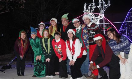 Holiday Lights Festival gives a winter glow to SYV Botanic Garden
